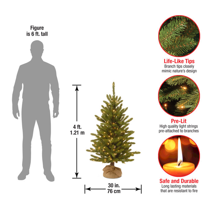 The Holiday Aisle® 4' Green Fir Christmas Tree with 150 Clear/White